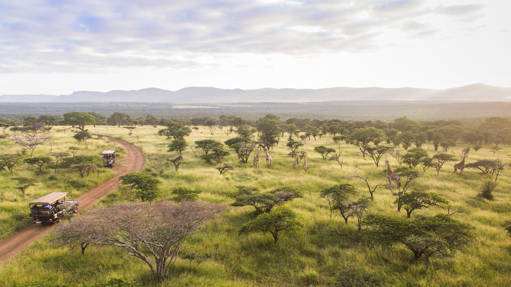 Rhino Sands Safari Camp