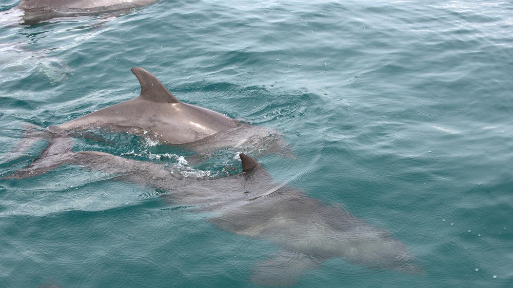 andBeyond Benguerra Island