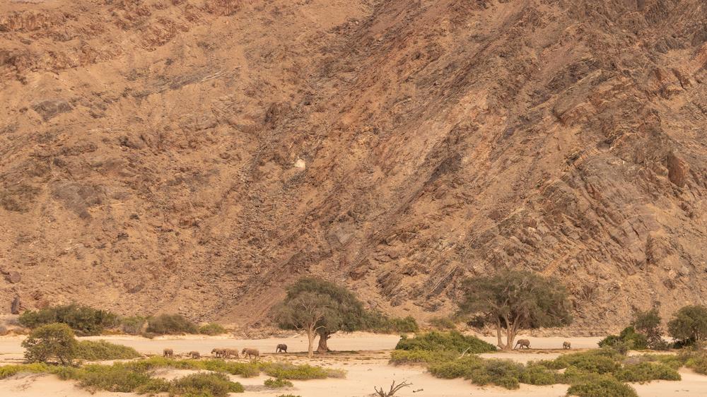 Hoanib Valley Camp