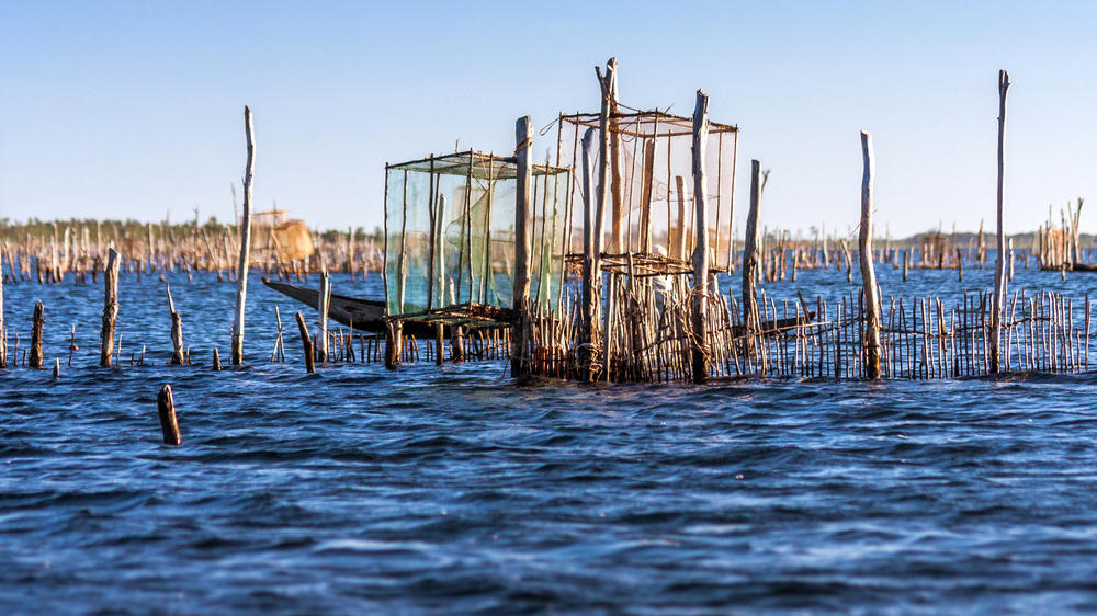 Akanin'ny Nofy Reserve