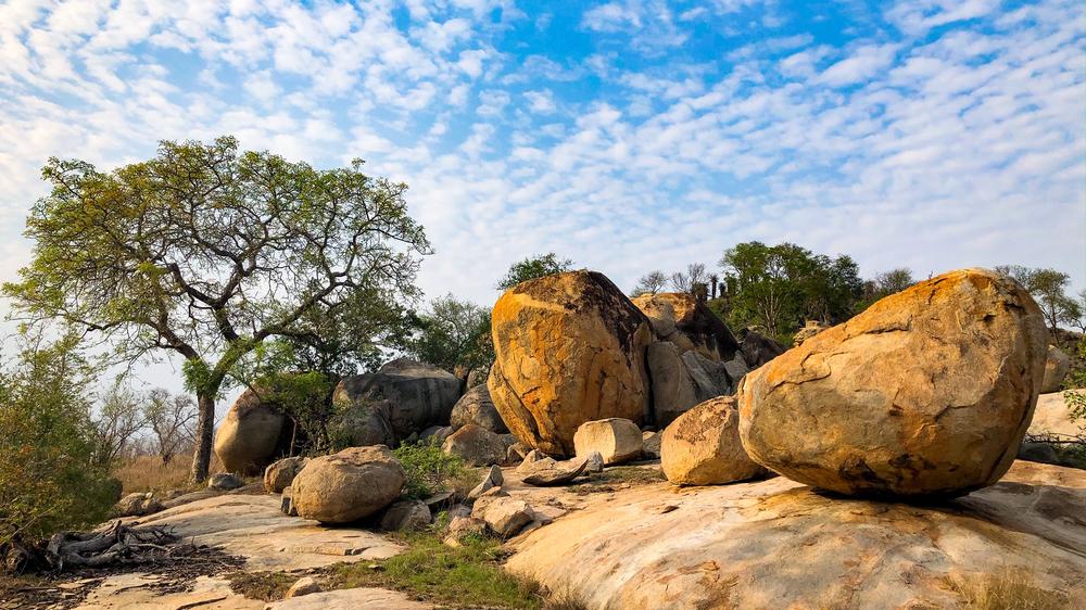 Rhino Post Safari Lodge