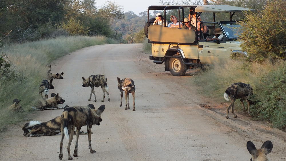 Rhino Post Safari Lodge