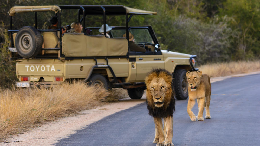 Rhino Post Safari Lodge