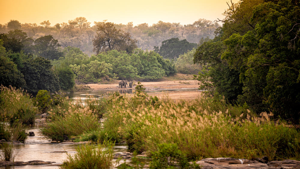 Rhino Post Safari Lodge