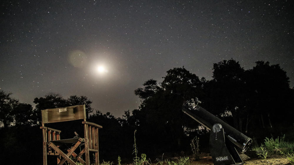 Rhino Post Safari Lodge