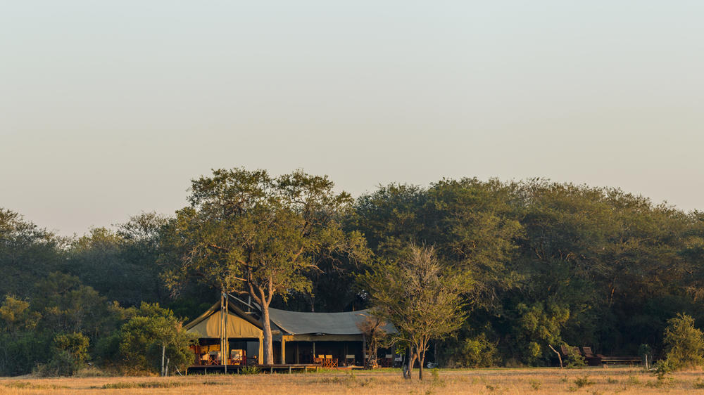 Plains Camp Home of Rhino Walking Safaris