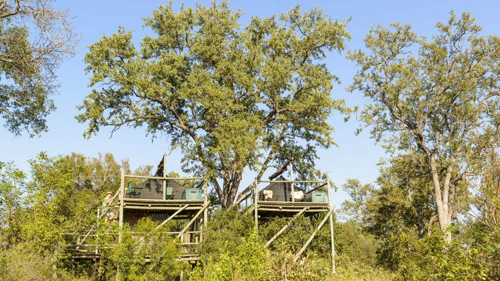 Plains Camp Home of Rhino Walking Safaris