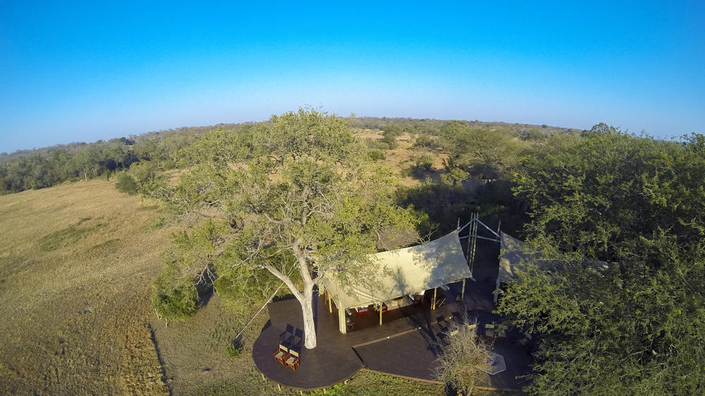 Plains Camp Home of Rhino Walking Safaris