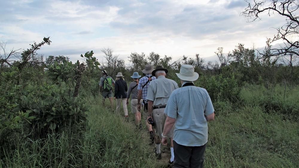Plains Camp Home of Rhino Walking Safaris