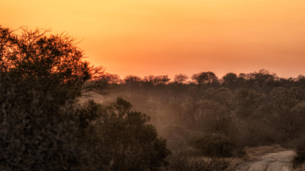 Plains Camp Home of Rhino Walking Safaris