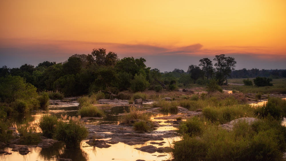 Plains Camp Home of Rhino Walking Safaris