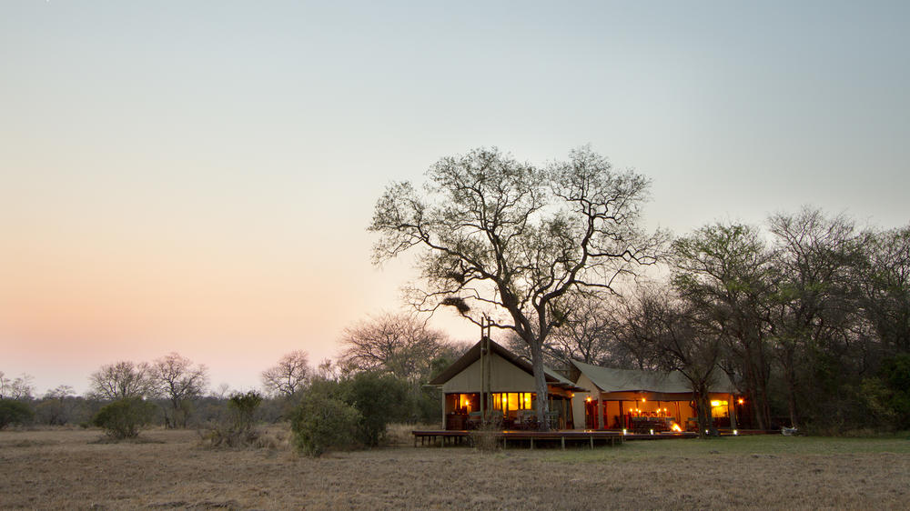 Plains Camp Home of Rhino Walking Safaris