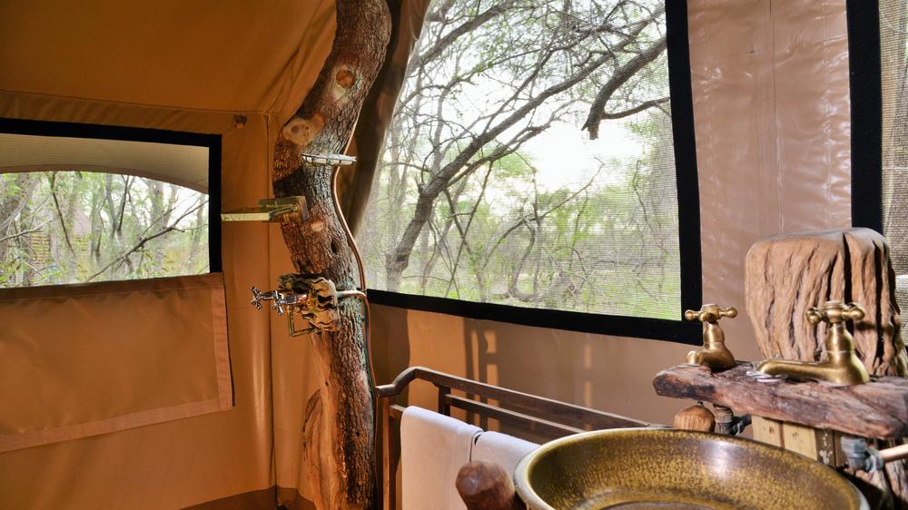 Plains Camp Home of Rhino Walking Safaris