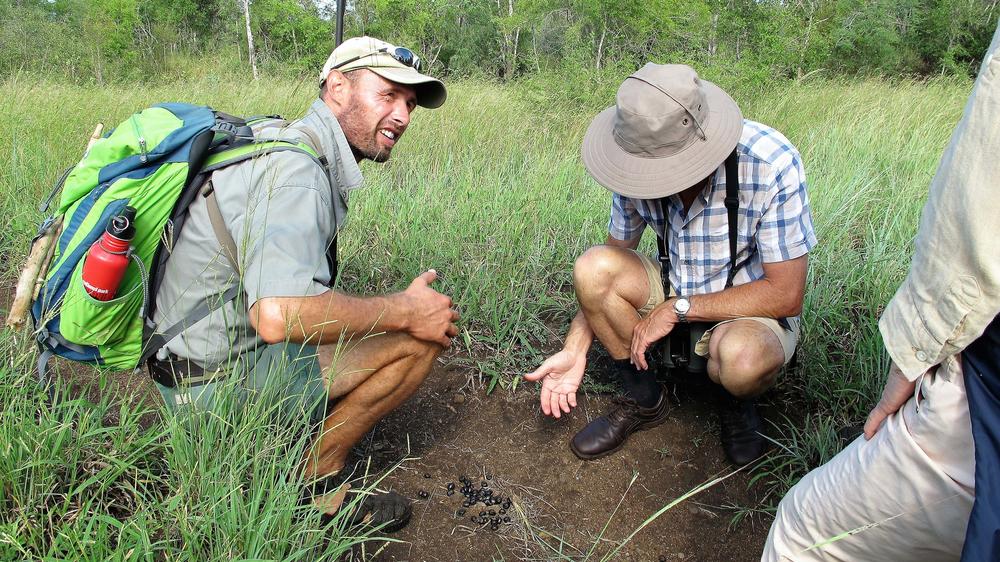 Plains Camp Home of Rhino Walking Safaris