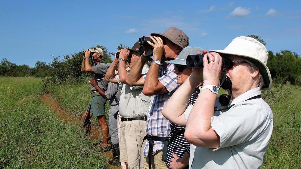 Plains Camp Home of Rhino Walking Safaris