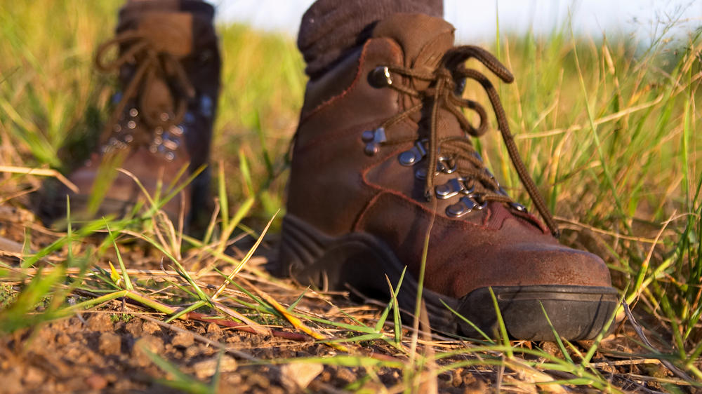 Plains Camp Home of Rhino Walking Safaris