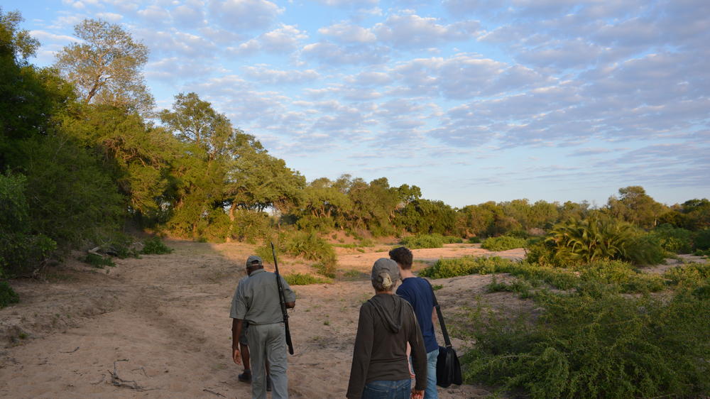 Plains Camp Home of Rhino Walking Safaris