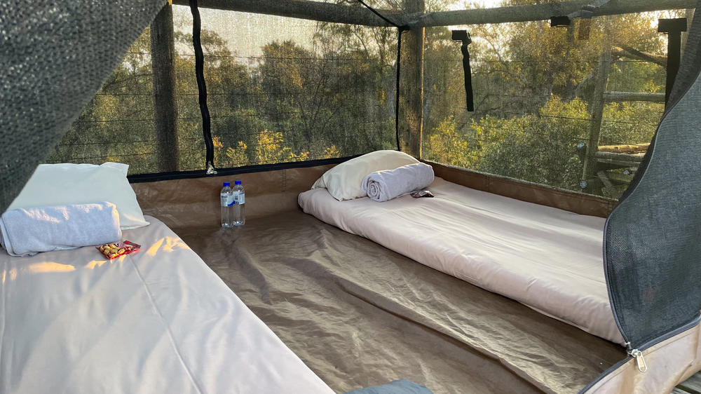 Plains Camp Home of Rhino Walking Safaris