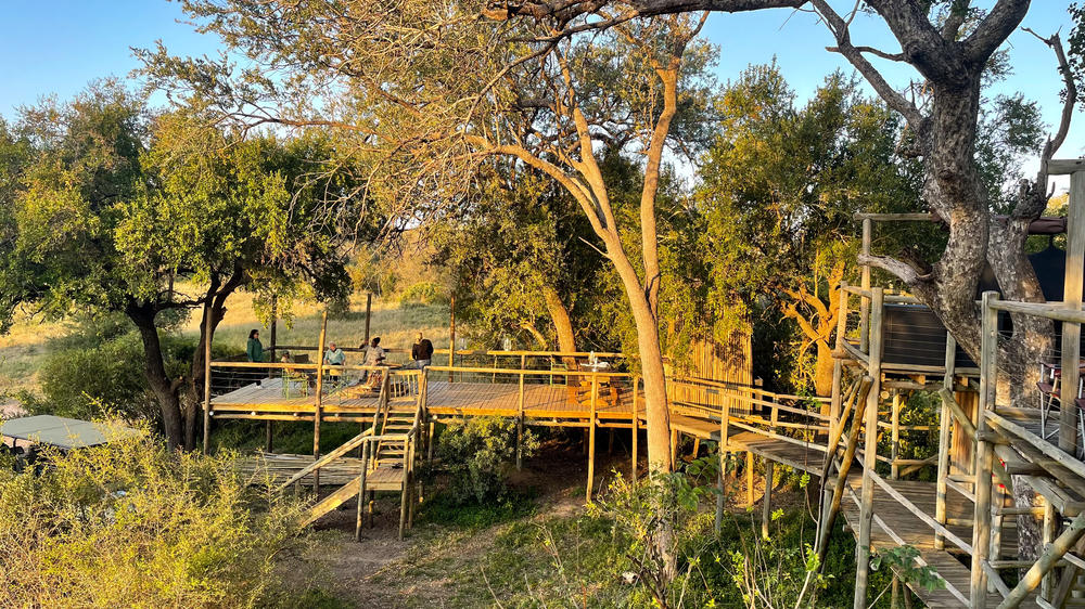 Plains Camp Home of Rhino Walking Safaris