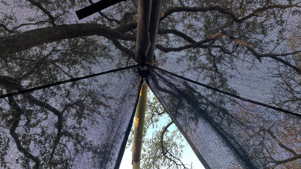 Plains Camp Home of Rhino Walking Safaris