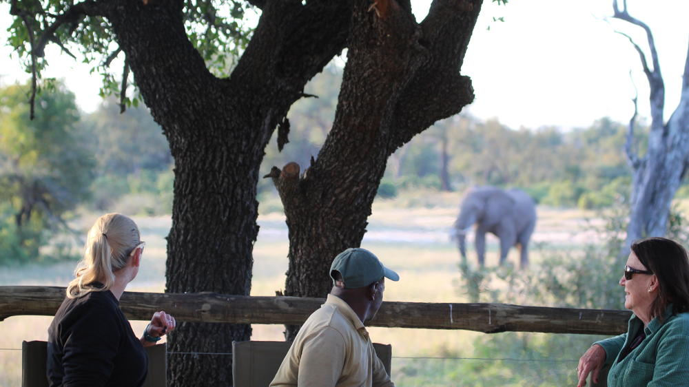 Plains Camp Home of Rhino Walking Safaris