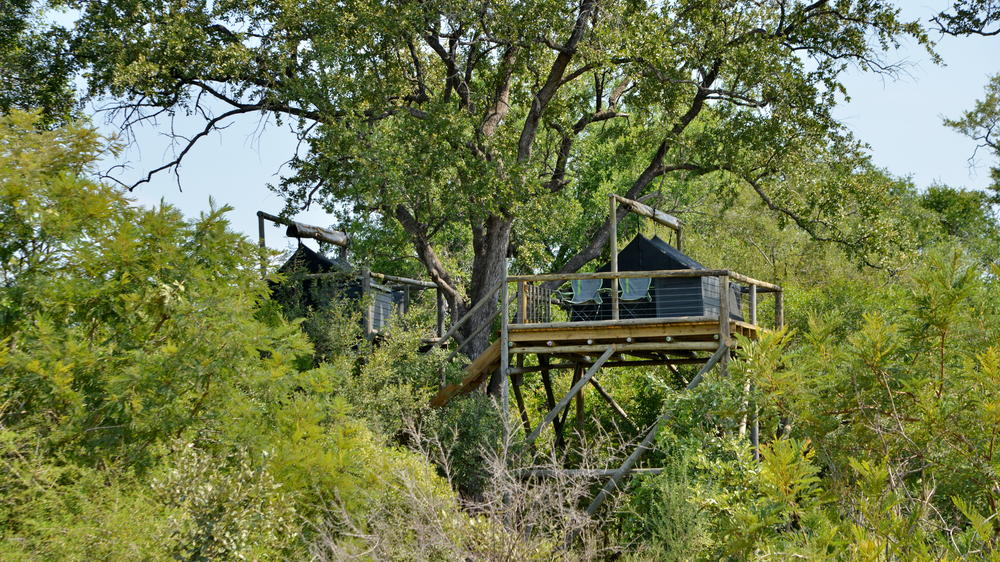 Plains Camp Home of Rhino Walking Safaris