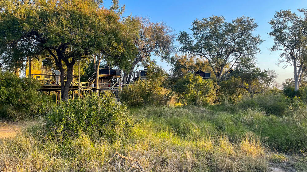 Plains Camp Home of Rhino Walking Safaris