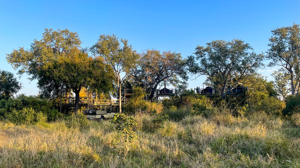 Plains Camp Home of Rhino Walking Safaris