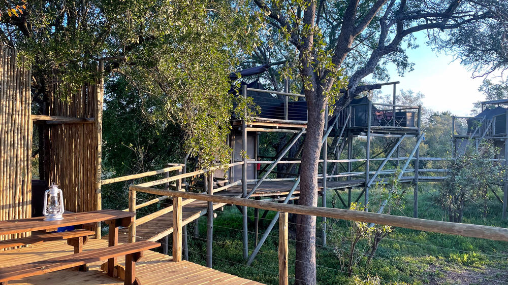 Plains Camp Home of Rhino Walking Safaris