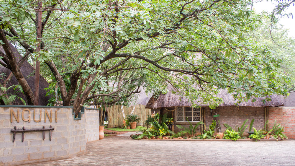 Nguni Lodge