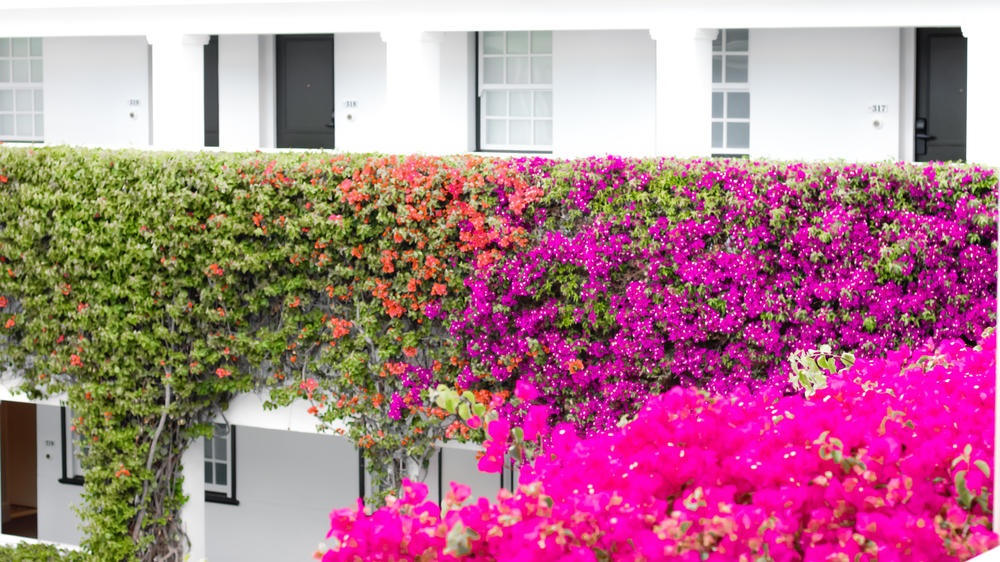 The Winchester Hotel