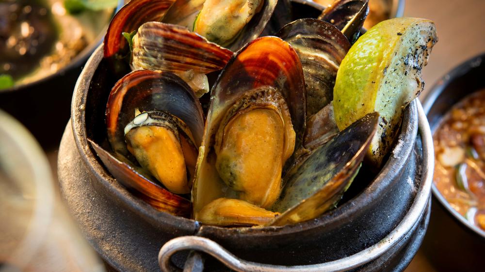 The Winchester Hotel