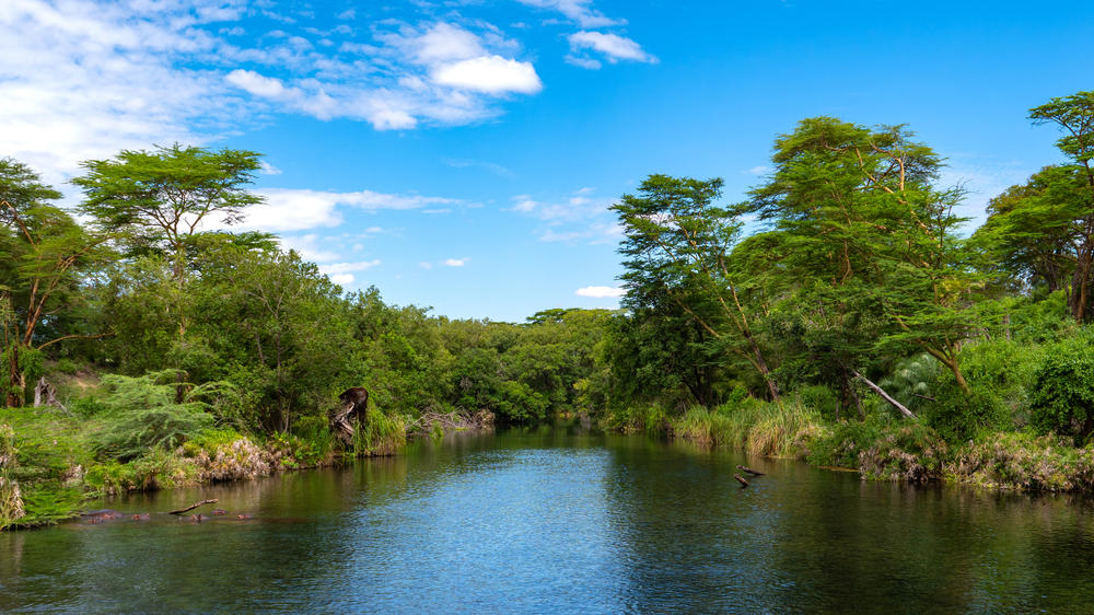 Tsavo West National Park