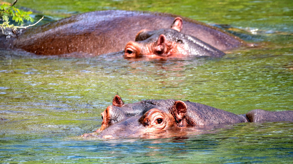 Tsavo West National Park