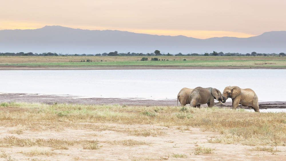 Tsavo East National Park