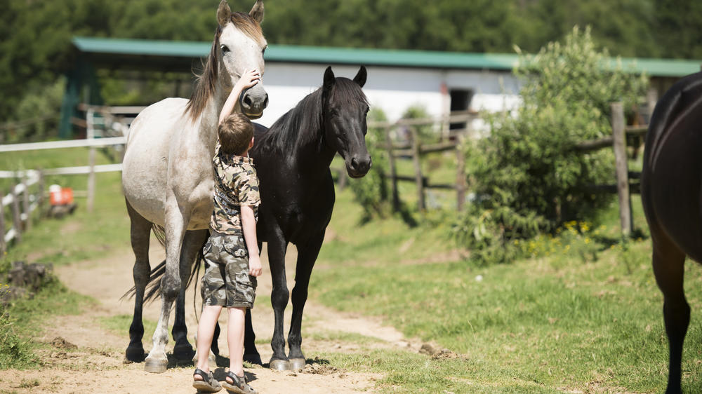 Cathedral Peak Hotel