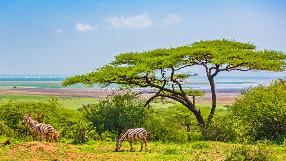 Lake Manyara National Park