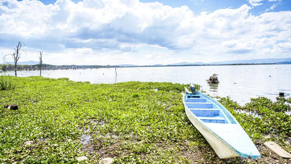 Lake Naivasha