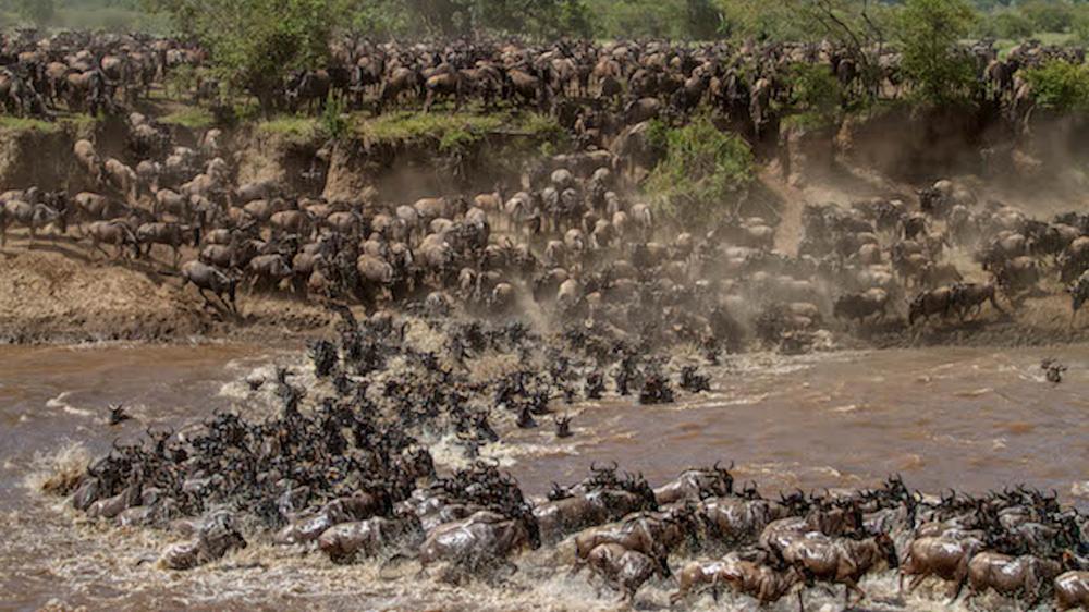 Lemala Mara Mobile Tented Camp