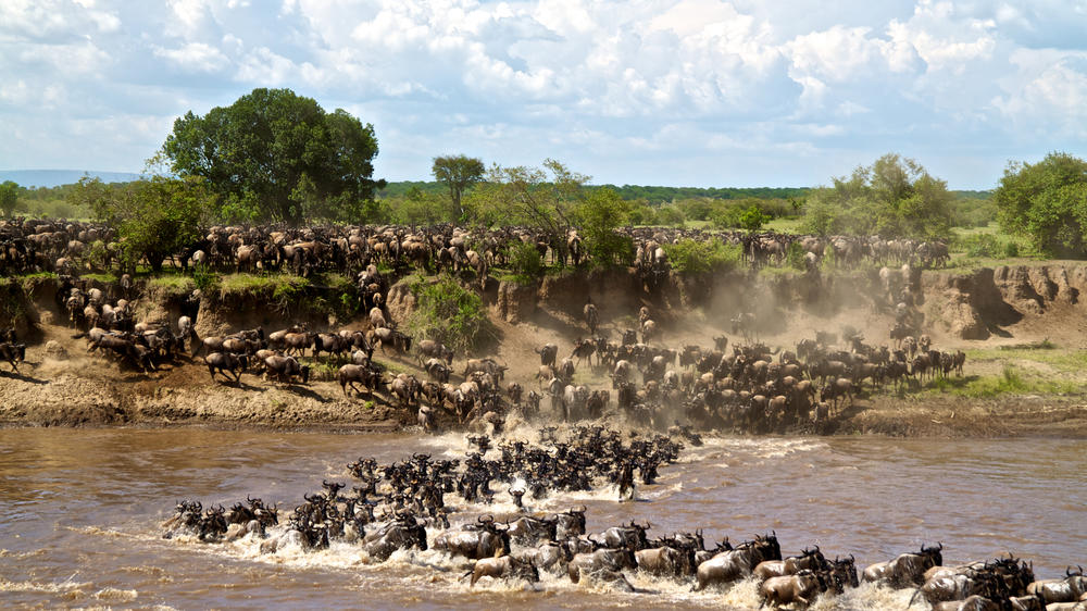 Lemala Mara Mobile Tented Camp