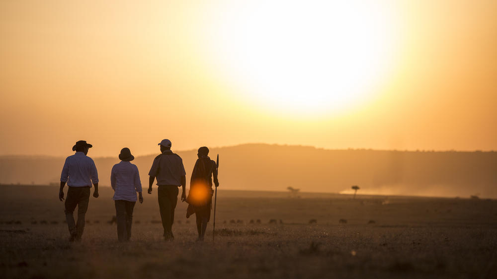 Elewana Elephant Pepper Camp