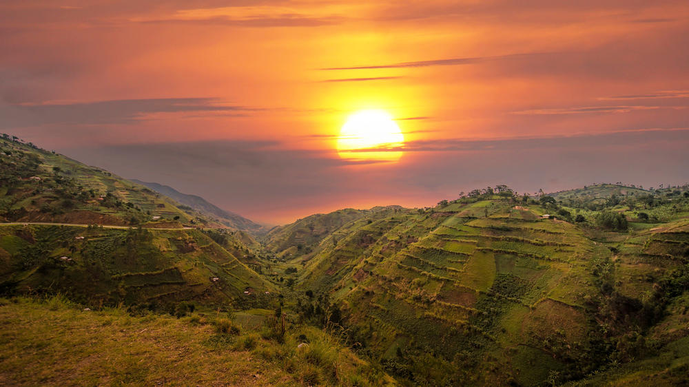 Bwindi Impenetrable Forest National Park
