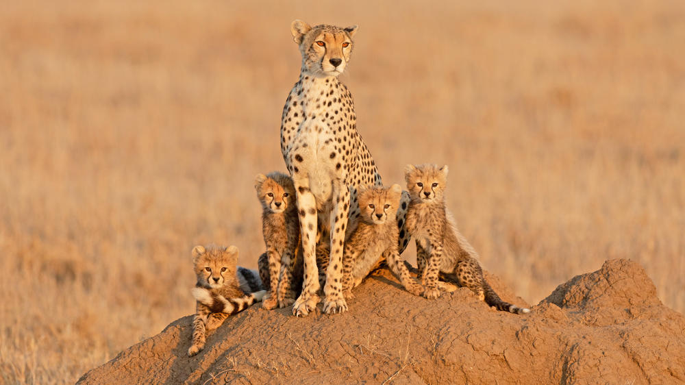 Serengeti National Park