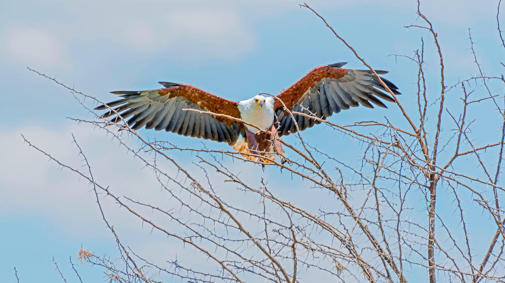 Serengeti National Park