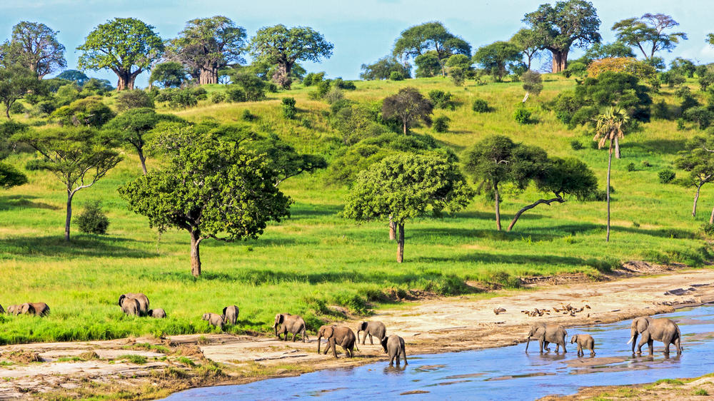 Serengeti National Park