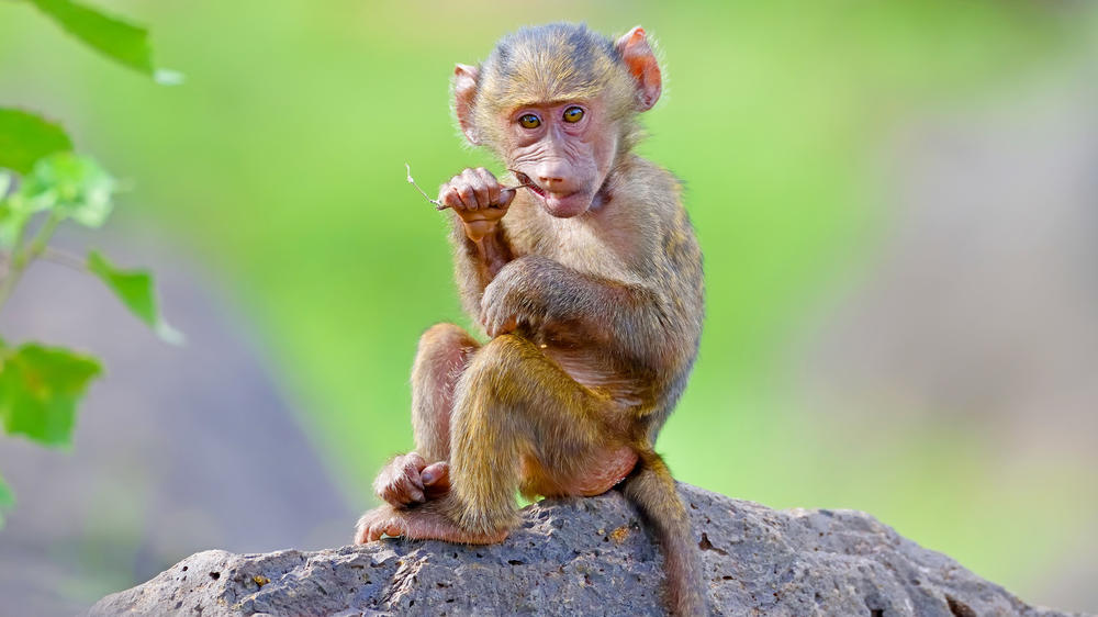 Serengeti National Park