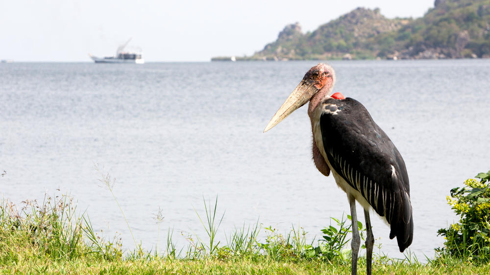Lake Victoria, Tanzania