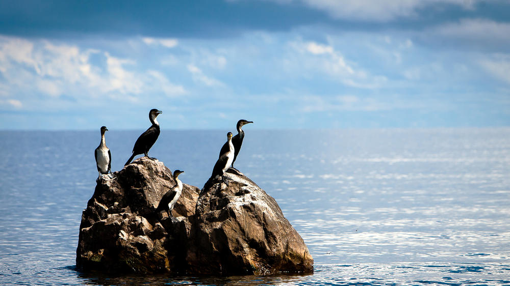 Lake Victoria, Tanzania