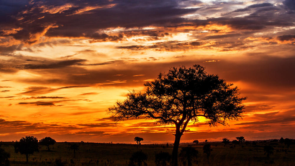 Murchison Falls National Park
