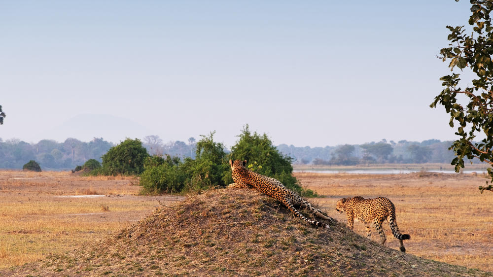 Liwonde National Park